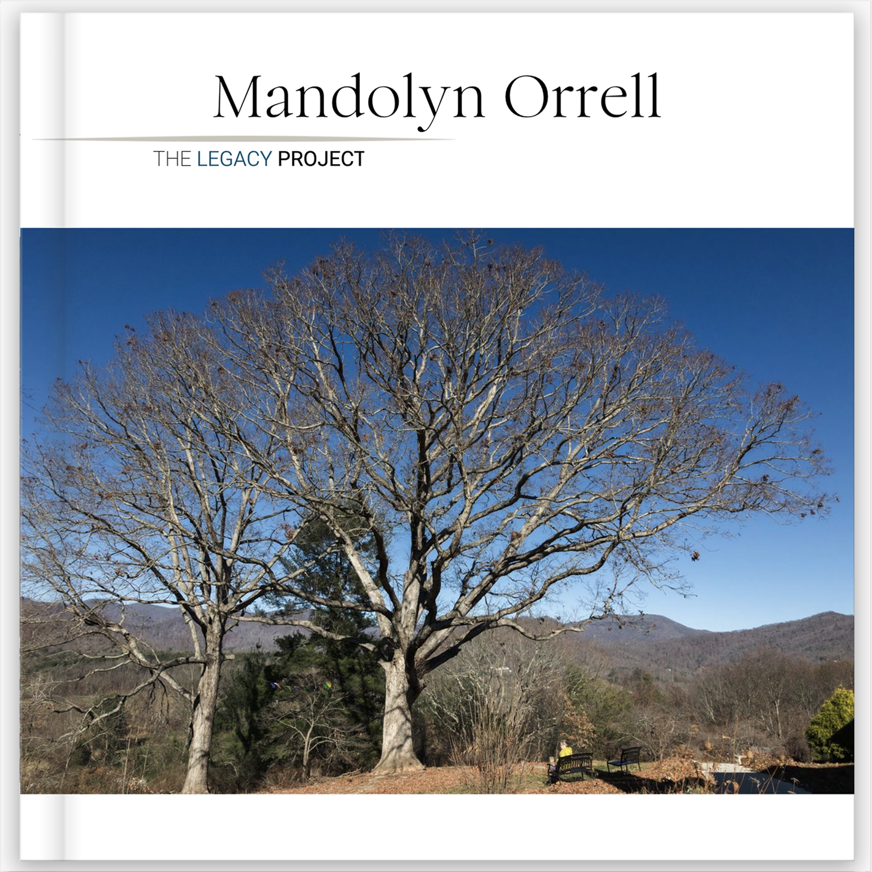 Mandolyn Orrell — Legacy Book cover